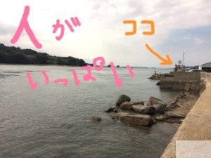 岡山県牛窓エリアエギング イカの現地調査に行ってきました